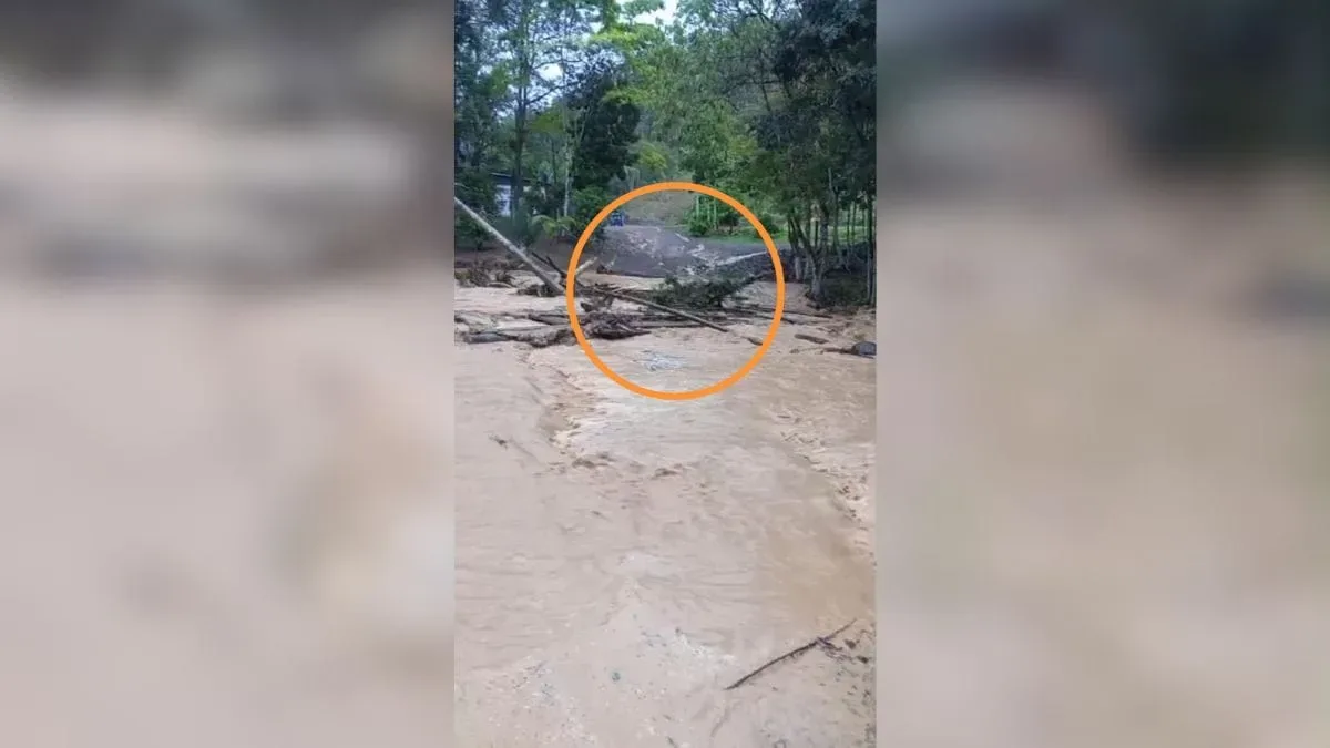 Água arrasta pontilhão de madeira durante temporal em Apiúna, em Santa Catarina