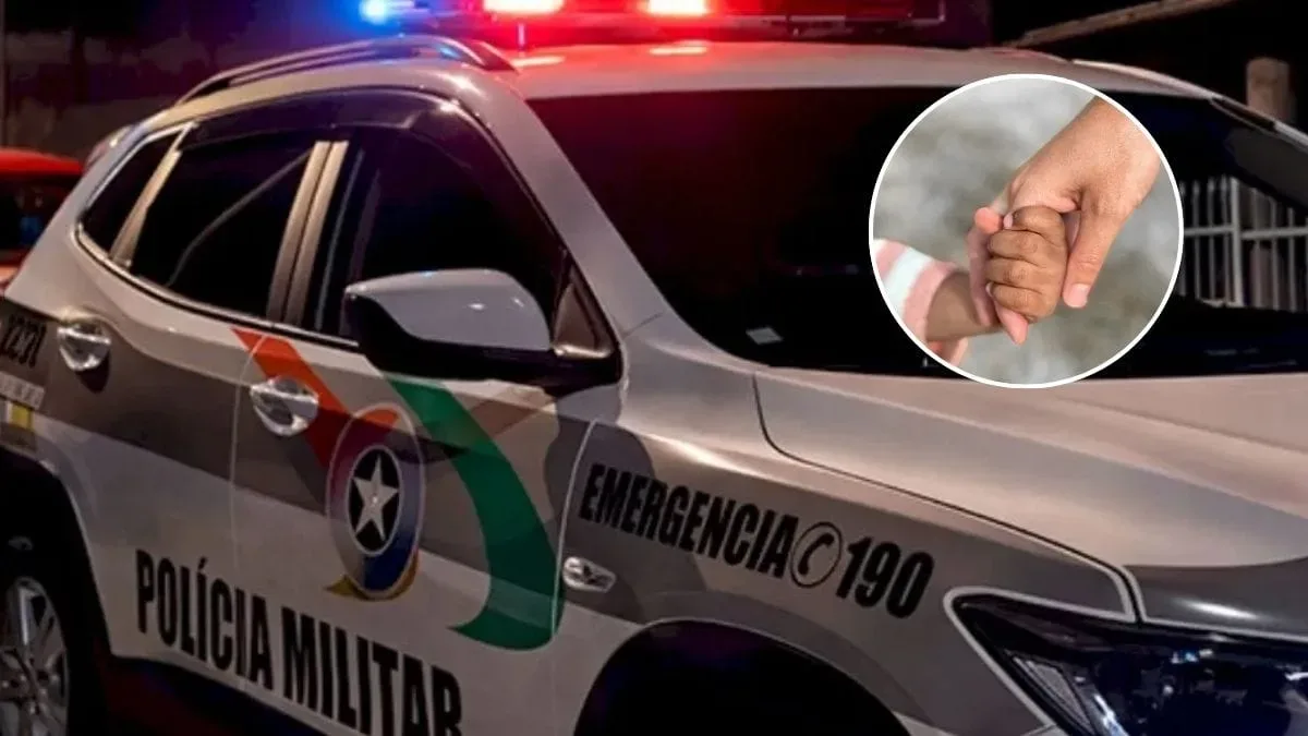 Conselho Tutelar acolhe criança deixada com desconhecido durante briga em SC