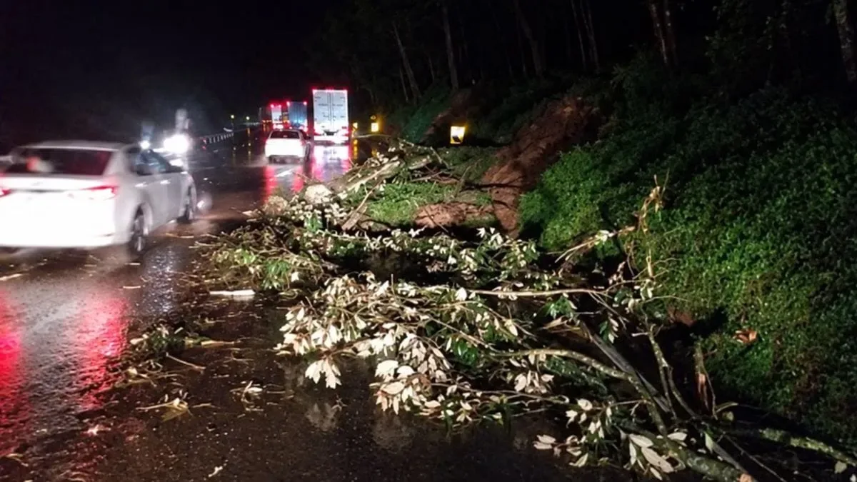 Arteris libera uma faixa após bloqueio na BR-116 em Rio Negro