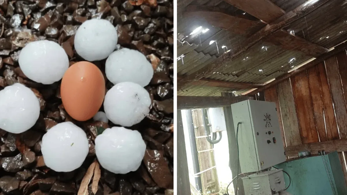 Granizo e ventos fortes atingem cidades do Oeste catarinense