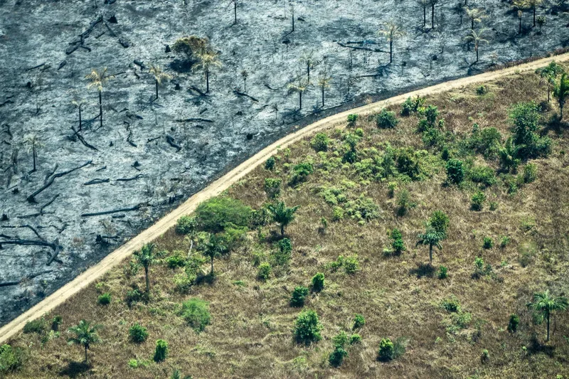 América Latina reúne 85% das mortes de defensores ambientais registradas em 2025