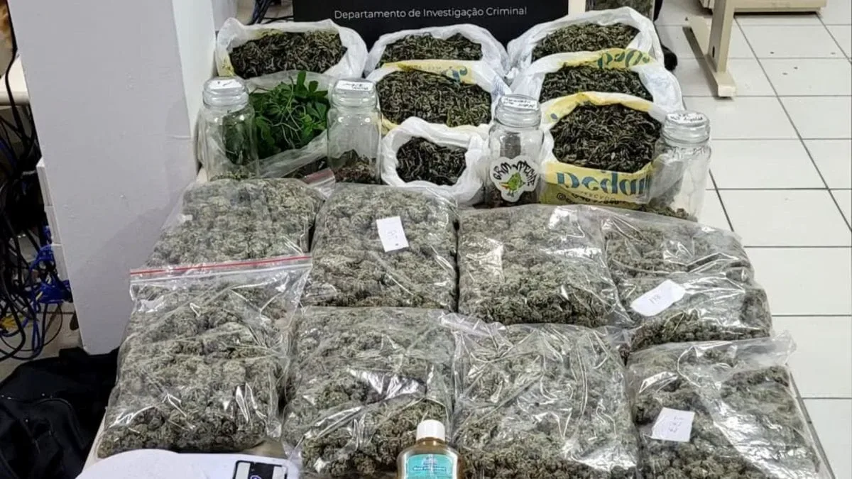 Estufa em Florianópolis tinha skunk, haxixe e registros contábeis, diz polícia