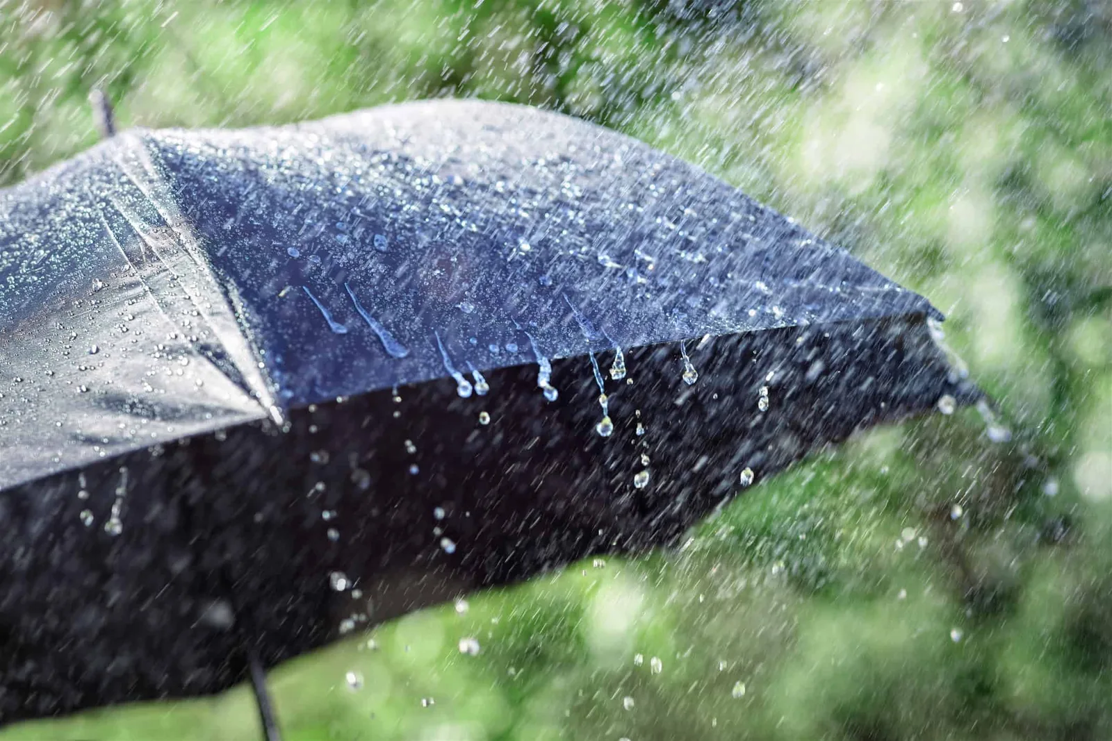 Calor retorna ao Sul enquanto chuva se espalha pelo interior do país