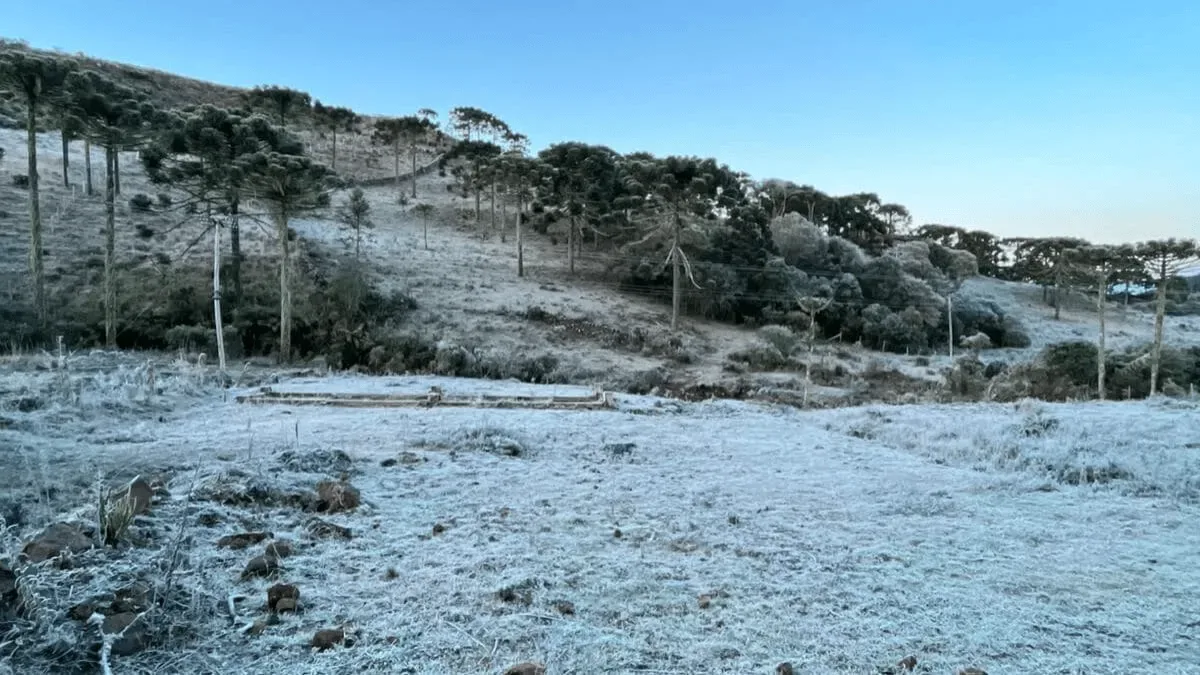 Santa Catarina registra mínimas negativas e máxima de 26°C nesta quinta