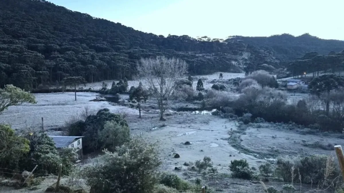 Santa Catarina terá frio de até 0°C e chance de geada nesta semana