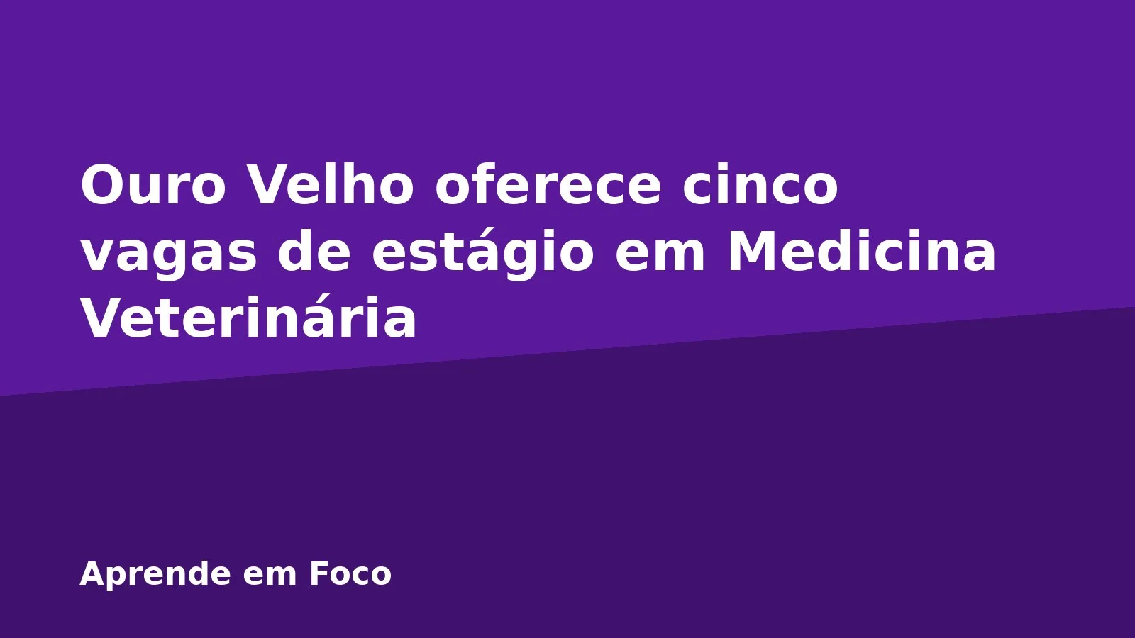 Ouro Velho oferece cinco vagas de estágio em Medicina Veterinária