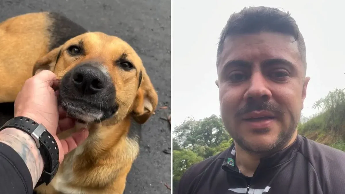 Cadela ganha nome e novo lar após ser encontrada durante pedalada