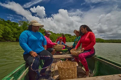 Estudo mapeia vulnerabilidade e perfil de pescadores artesanais em 52 municípios