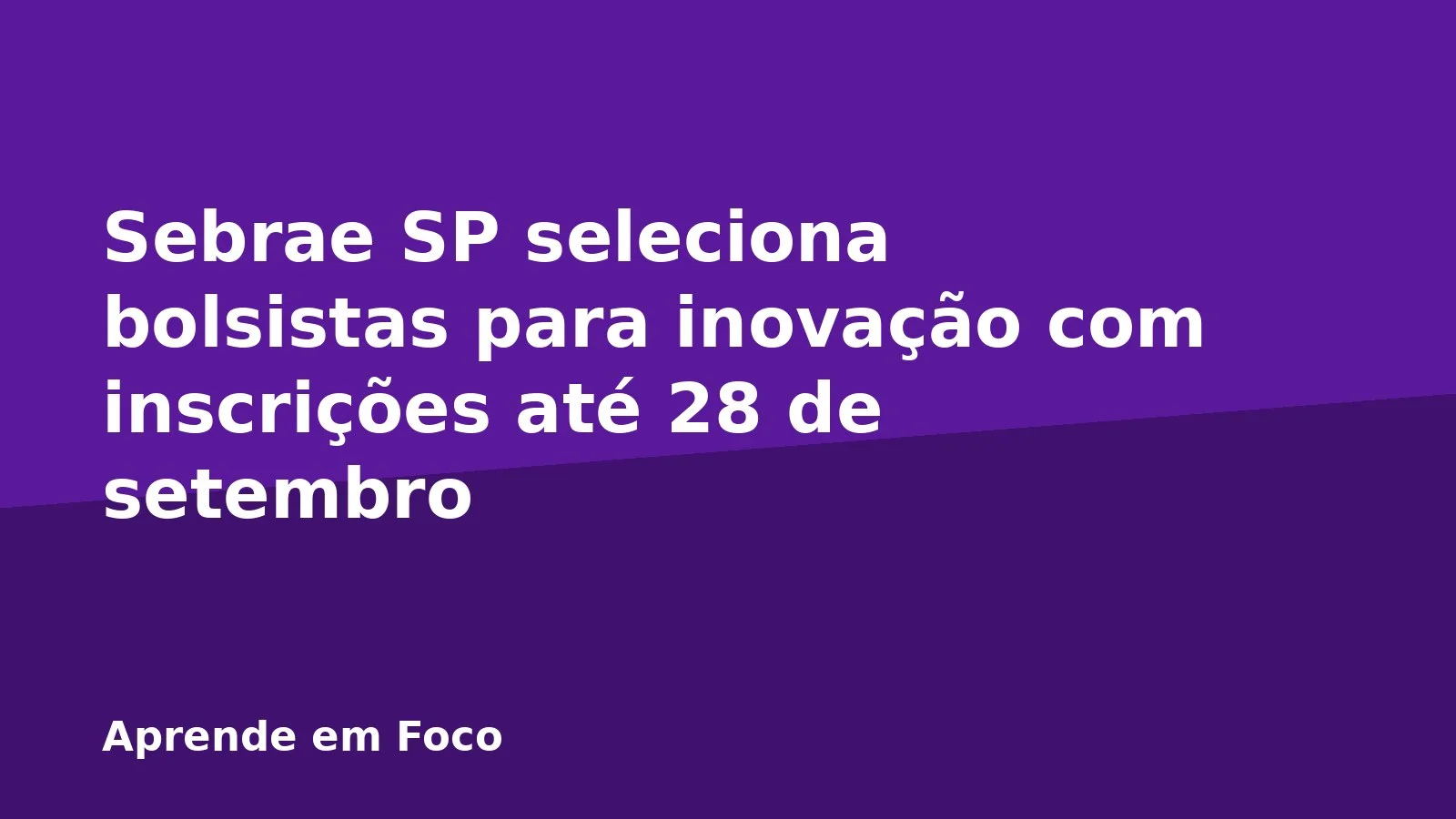 Sebrae SP seleciona bolsistas para inovação com inscrições até 28 de setembro