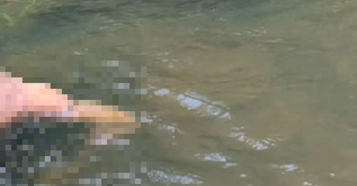 Corpo não identificado é localizado no rio Pacajá, no Pará