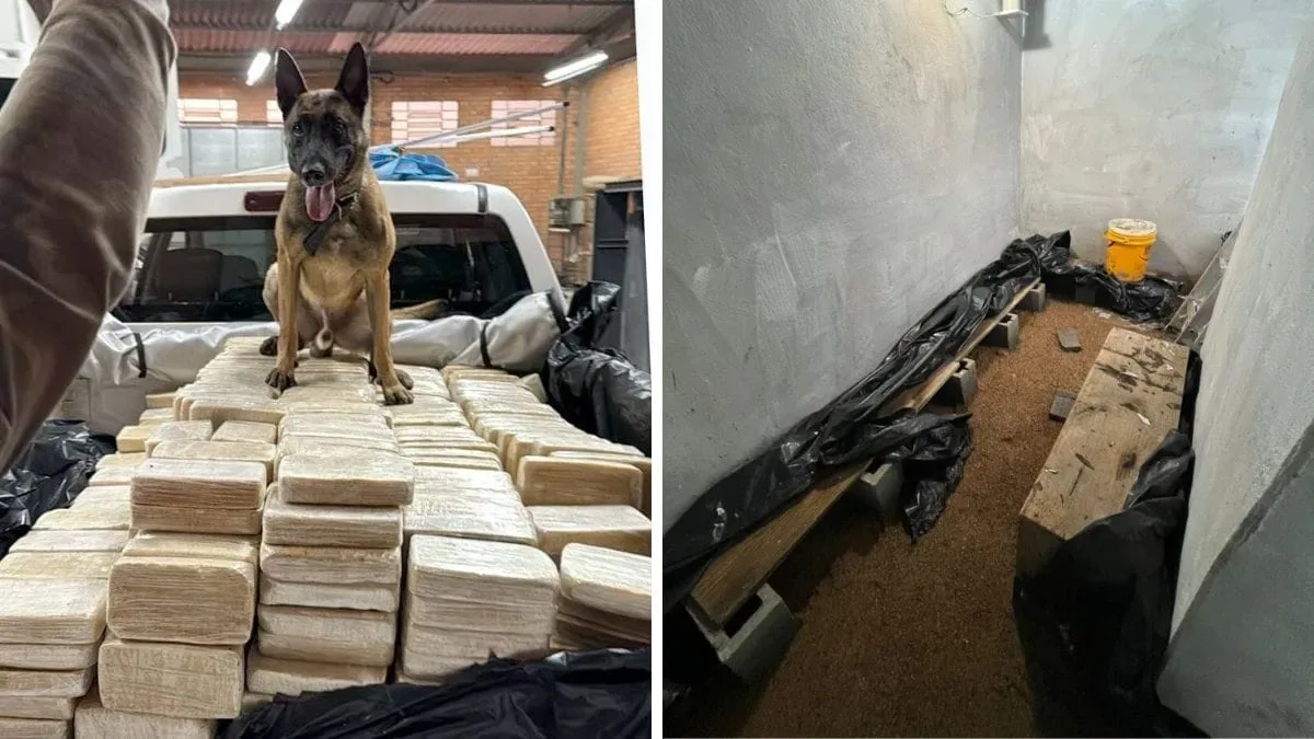 Preso nos Emirados suspeito de enviar cocaína de Blumenau à Europa