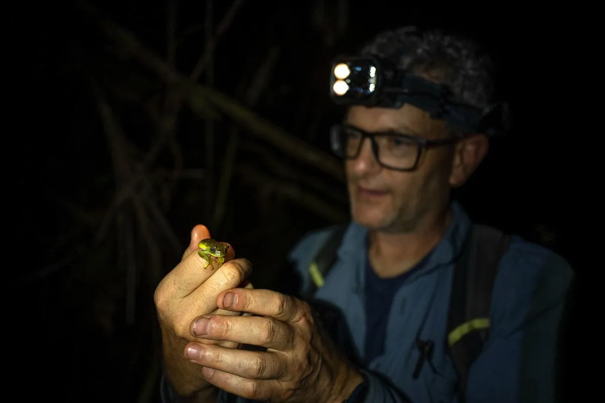 Lagarto pode ser nova espécie em expedição no topo da Serra do Aracá