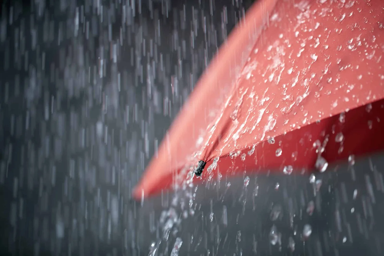 INMET prevê chuva acima de 80 mm em áreas de São Paulo, Rio e Amazonas