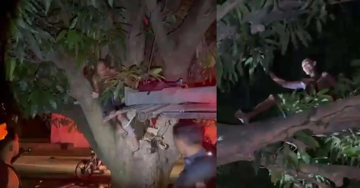 Suspeito de roubar celulares é encontrado escondido em mangueira em Belém