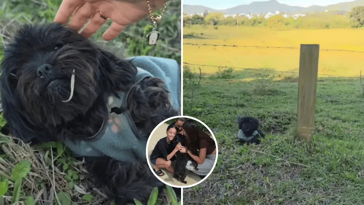 Vídeo ajuda família a reconhecer Belinha após meses sem notícias em Camboriú