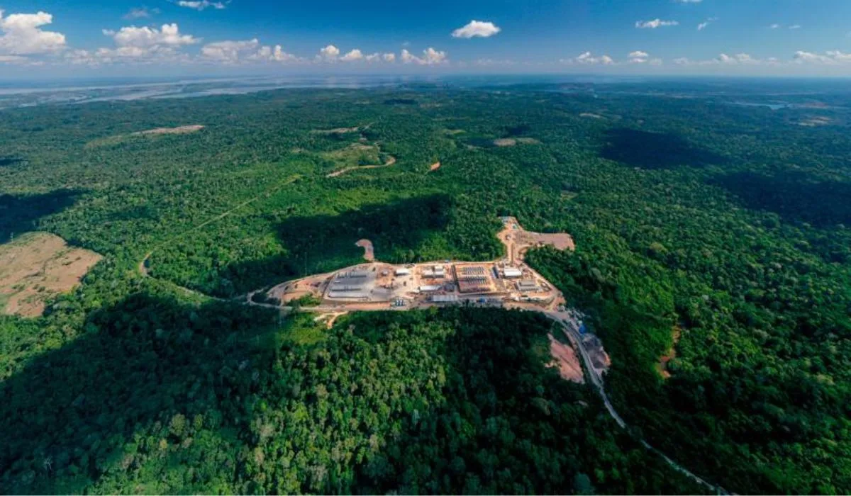 Alertas de desmatamento recuam no cerrado, mas aumentam na amazônia em agosto