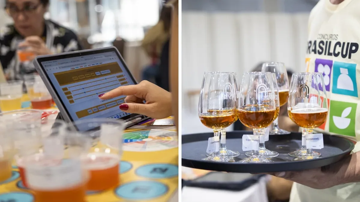 Cervejarias de Santa Catarina conquistam mais de 150 medalhas no Brasil Beer Cup