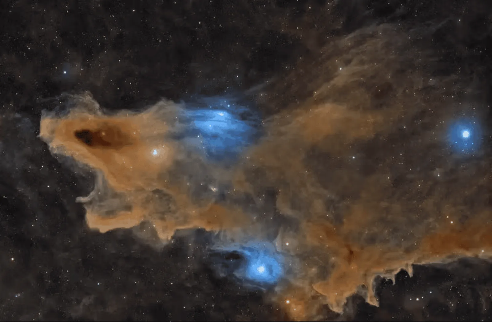 Nebulosa do Tubarão leva prêmio de melhor foto astronômica de 2026