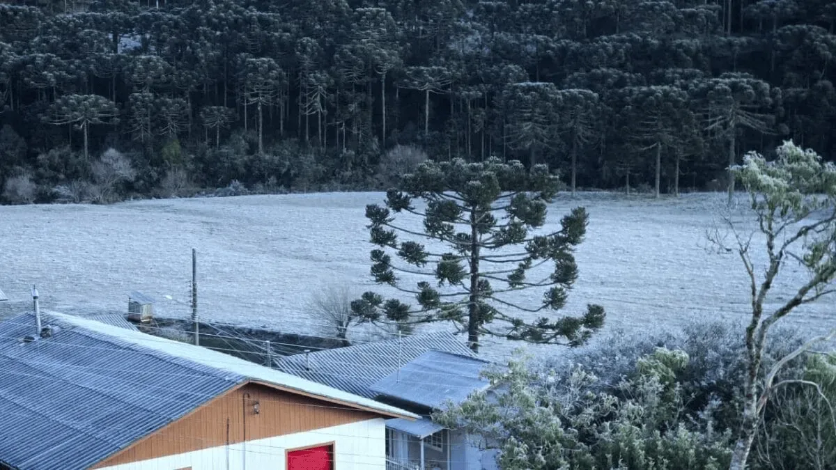 Santa Catarina terá mínimas no fim do dia e chuva isolada nesta terça