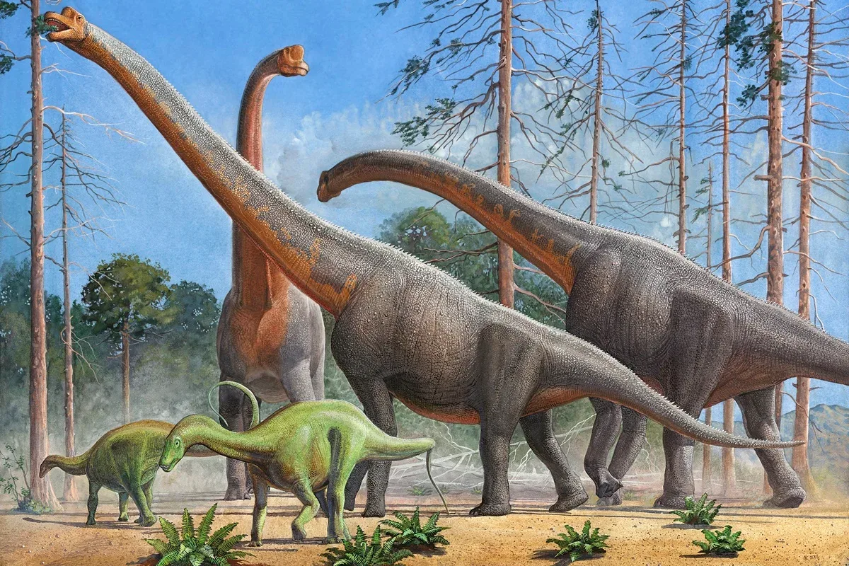 Fósseis revelam nova espécie de dinossauro gigante no Maranhão