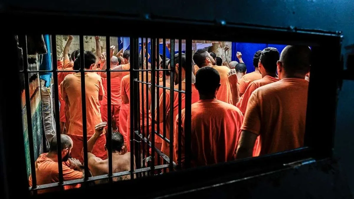 Pesquisa em Santa Catarina busca mapear riscos ligados ao feminicídio
