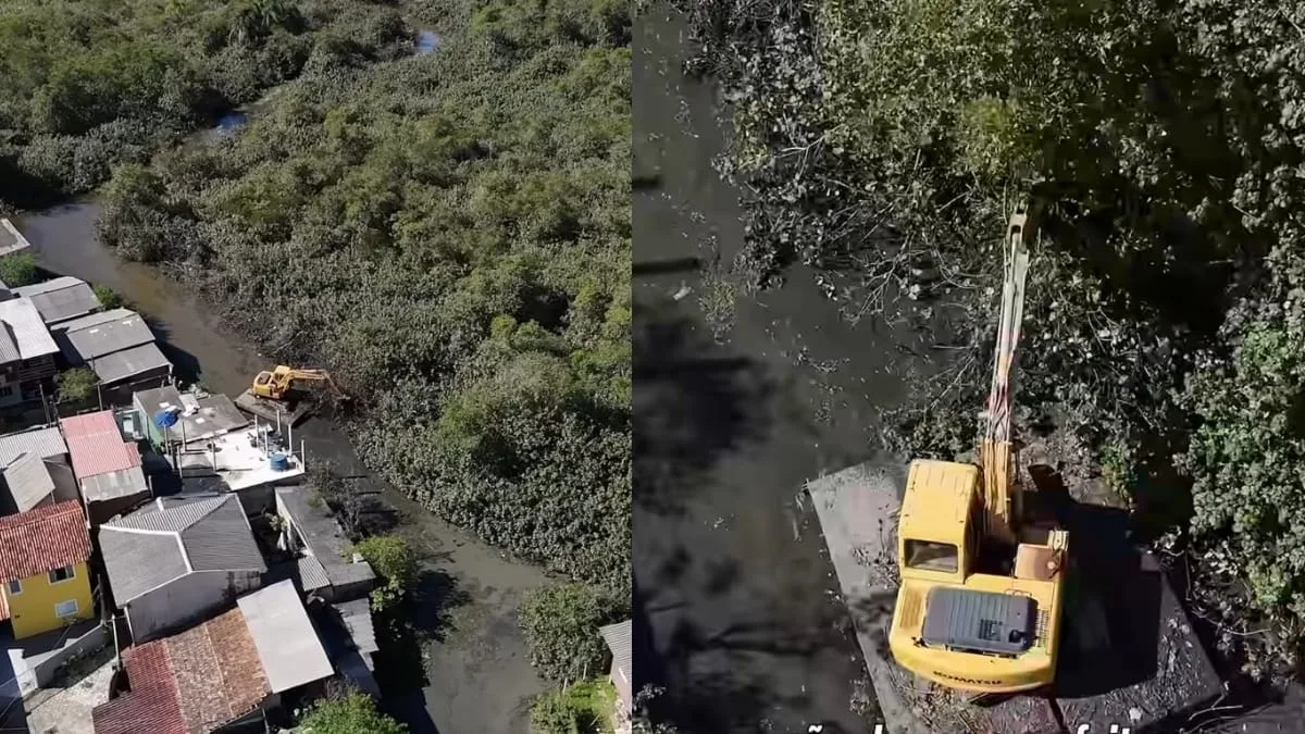 ICMBio suspende desassoreamento de canais no Rio Tavares, em Florianópolis