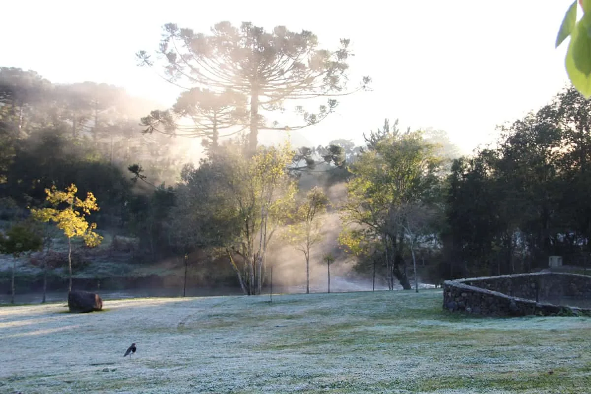 Ar frio traz risco de geada no Sul e calor de até 40 °C no Norte