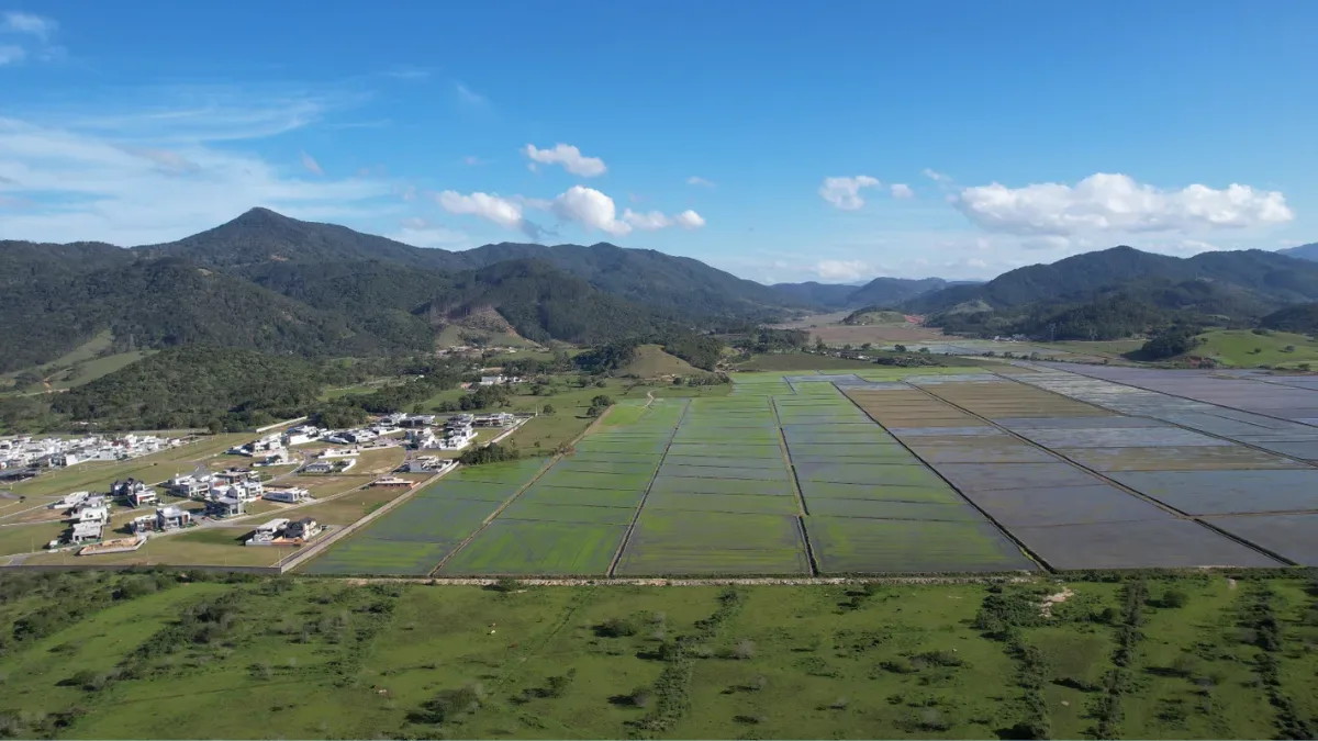 Parque no Rio Camboriú terá dique de 1,6 mil metros e prazo de 31 meses