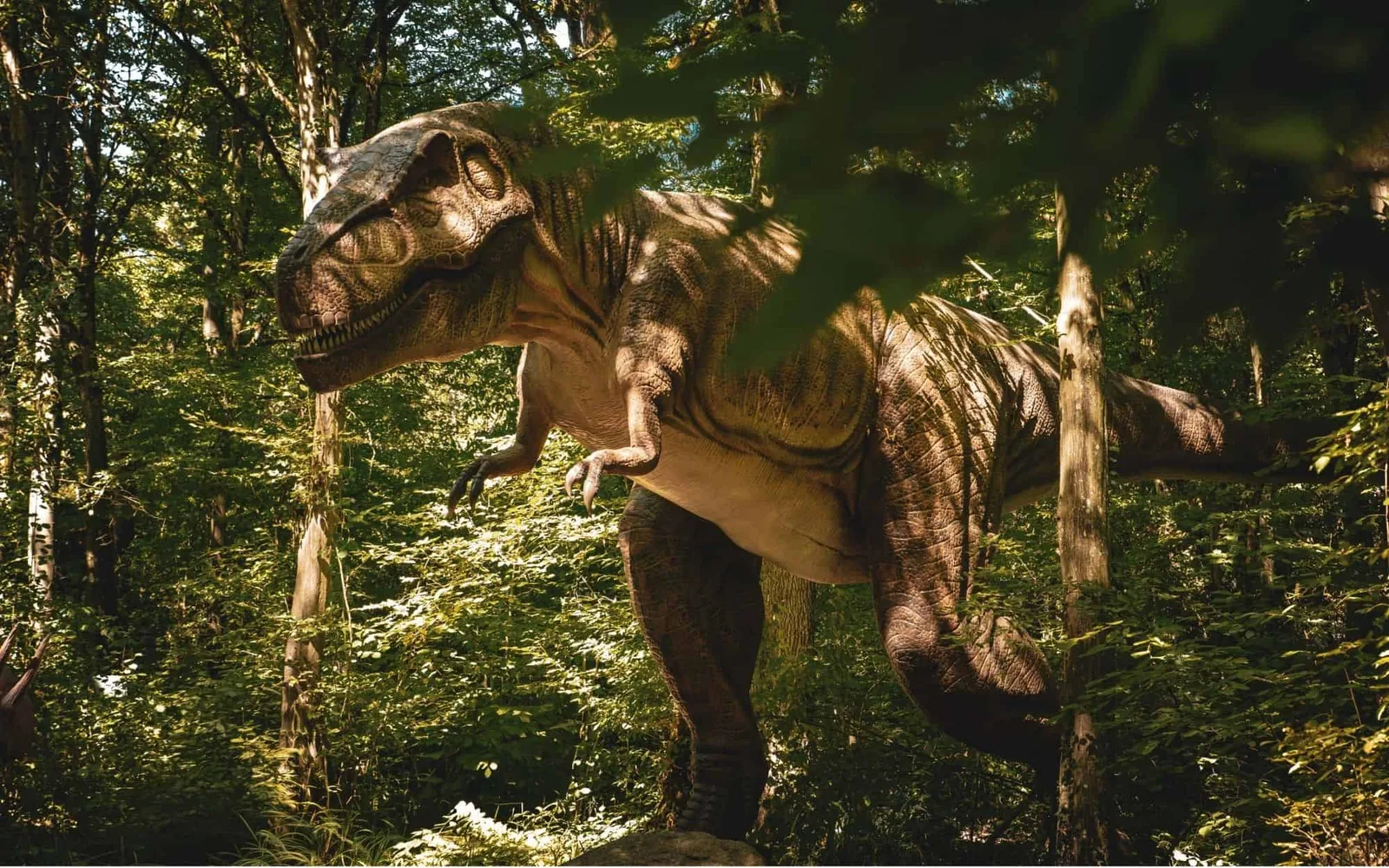 Pegadas na Dakota do Norte podem revelar trilha de T-rex adulto