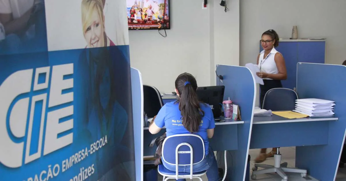 Ciee reúne oportunidades de estágio e aprendizagem no Pará