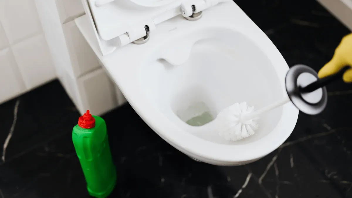 Por que a borra de café deve ficar longe do vaso sanitário