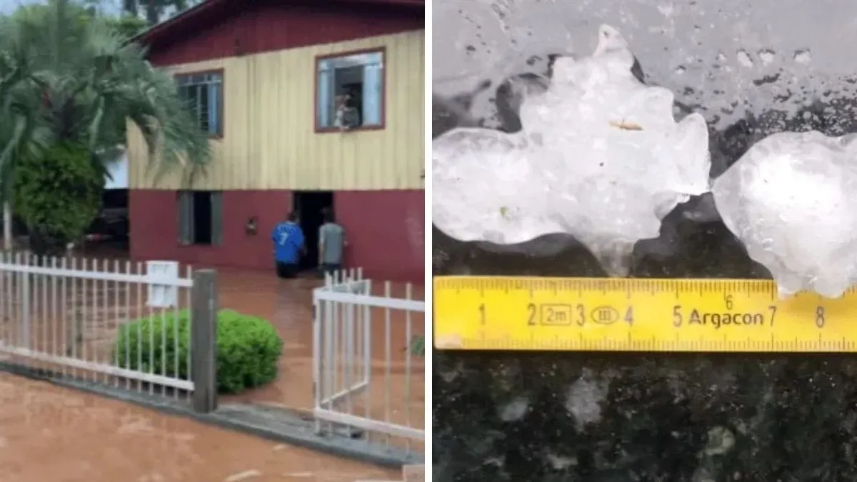 Danos em Três Barras incluem árvores sobre rodovia e 117 pessoas fora de casa