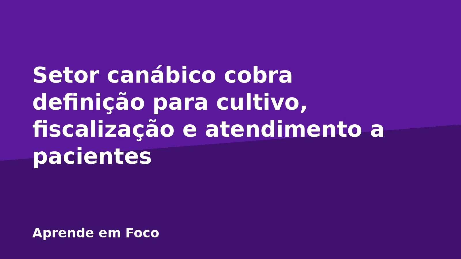 Setor canábico cobra definição para cultivo, fiscalização e atendimento a pacientes