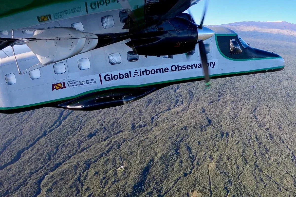 Sensores aéreos mostram relação entre aves e tipos de floresta no Peru