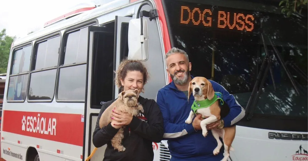 Vídeos de cães no transporte impulsionam perfil de educador catarinense