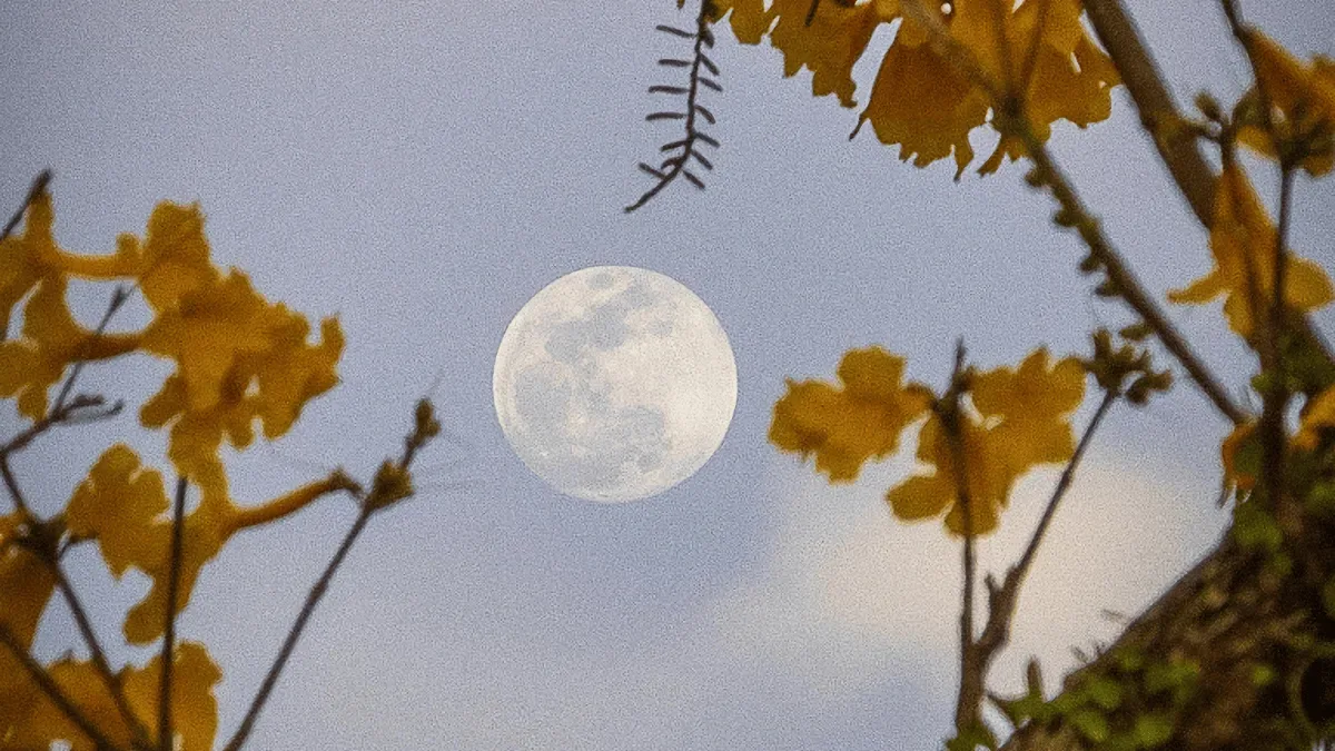 Lua Cheia permanece visível até a transição para a fase Minguante