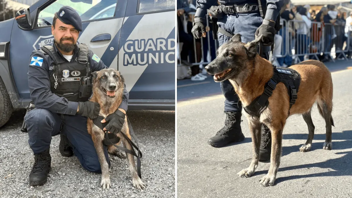 Black é homenageado após seis anos de atuação na Guarda Municipal